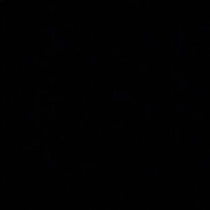 Meet your Posher, Gerardo